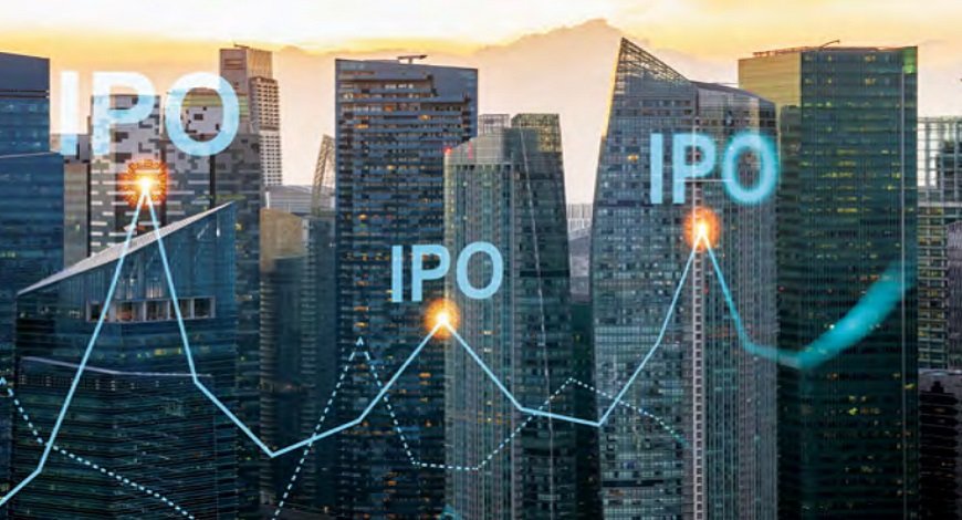 Raining IPOs: What Investors Want?